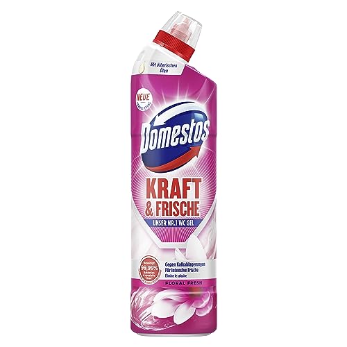 Domestos Wc Reiniger